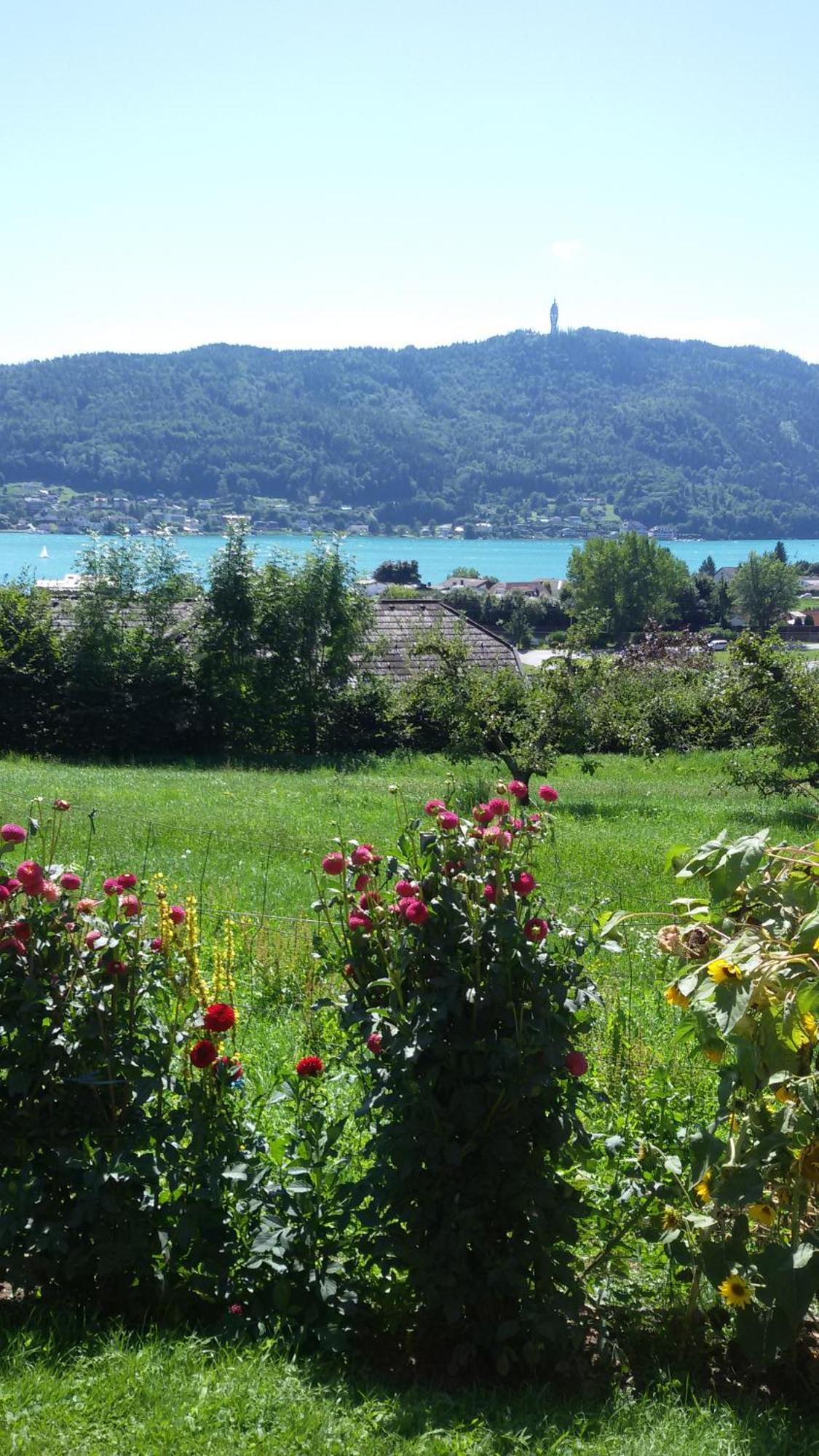 圣奥斯沃德霍夫酒店 Pörtschach am Wörthersee 外观 照片
